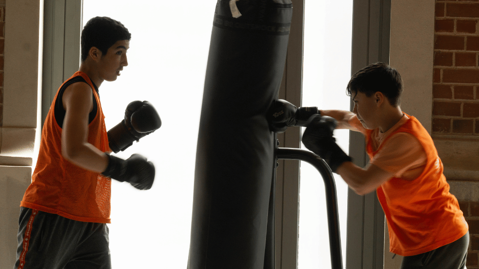 Image BOXE